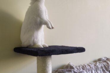 Zuri's trying to see what's going on