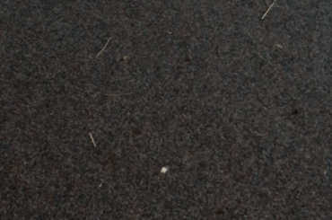 Bunny steals deodorant (x-post r/Rabbits)