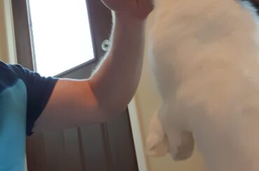 "But dad, I want more blueberries"