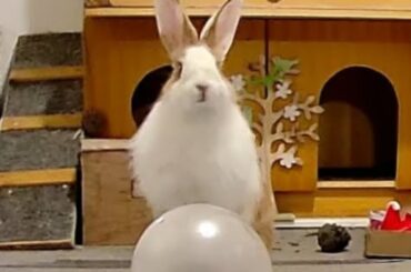 Ahem... It's not what it looks like 🤣🤣🤣