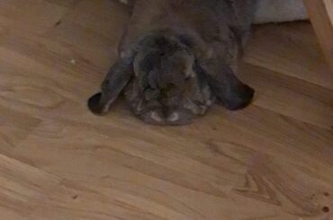 Melted on the wrong side of the bed