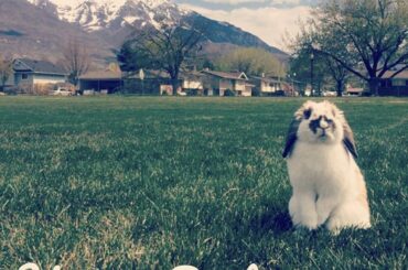 Happy Easter from my little girl, Sister🐰💛