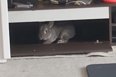 That is where I used to keep my yoga mat. Not anymore...