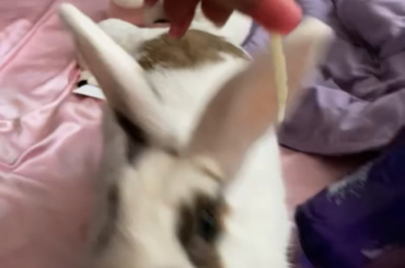 anything for a snack!! (plus bonus kisses)