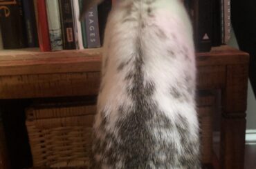 picking out a book to eat🤩