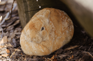 A photo edit I did a while ago (this is what happens in art school, everybody /j)