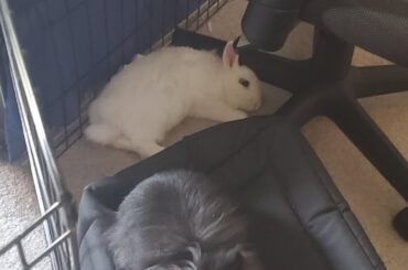 ah yes, the office chair base