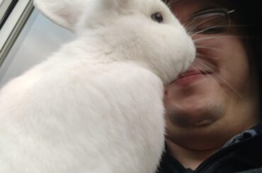 This one loves standing up to boop my face 😊