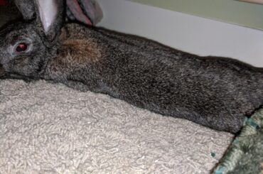 One more hope you don't mind