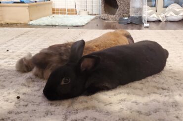 Just a couple of noodles doing their thing