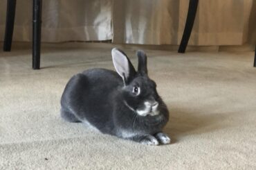 This is like such a bad loaf -10