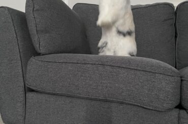 Mom am I tall enough to touch the ceiling yet? 🥺😯