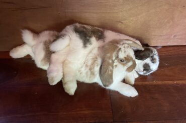 Fell asleep like this 💤