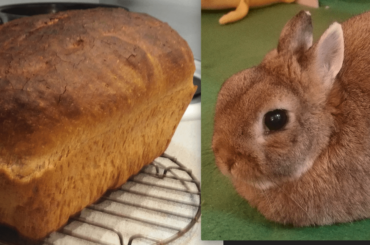 Golden Brown Goodness, still warm from the oven