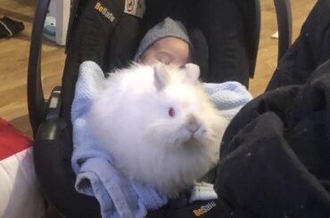 He sat there like 15 minutes. He protecc
