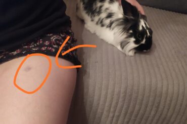 This little MF kicked my GF. Cute isn't it?