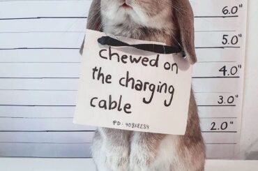 A rare but welcome comfession