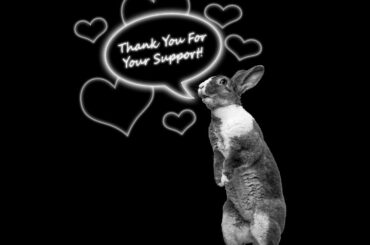 Albert the Rabbit Appreciates you! [OC]