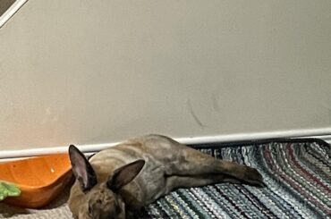 These are some thicc noodles, alright!