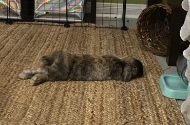 Noodle with junk in the trunk