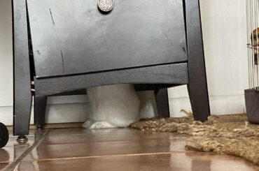 Trying to get into my old desk fsr