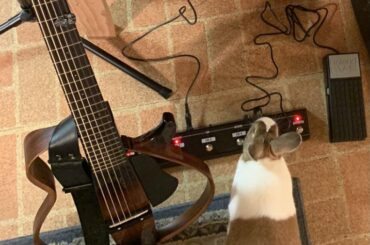 my wah pedal sounds off.. oh.