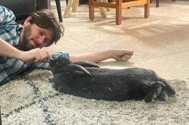 Mr Agave is a long boi