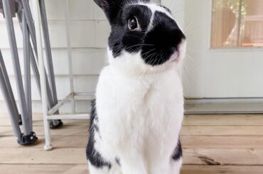 My curious little boy! 🤍