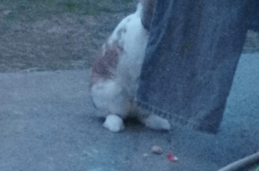 he thought i couldn't see him