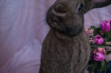 Couldn't get him in focus but look at those t-rex arms