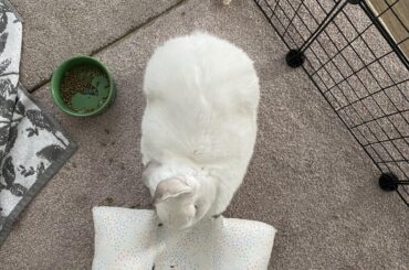 Triple loaf. 🍞🍞🍞