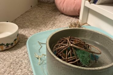 Criminal - she loves drowning her toys