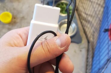 Velvet loves the spicy hay. Our first victim of rabbit munchies