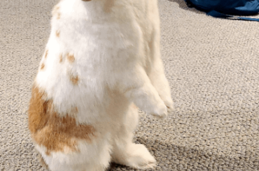 So cute and sweet!!! 😍