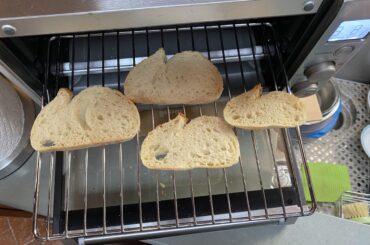 loafs become bunnies