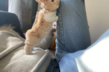 standing at 3 weeks 🥰