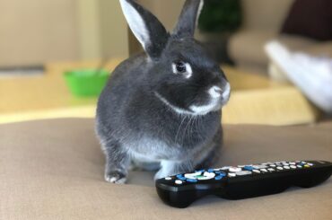 This is the reason all my remotes have no numbers