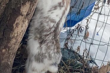 THEY’RE SO LONG! HOW DID I NOT NOTICE THAT?!?!?