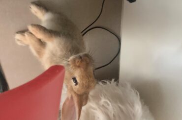 I lovee to be homeschooled I get to be with my girls all day long 🥰🥰