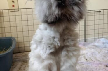 Showing off her new haircut