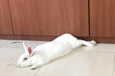 Our boy turned 2 today!