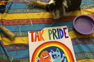 Roast my homophobic son, please