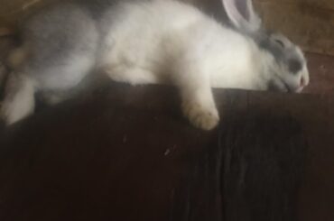 Sooooo comfy