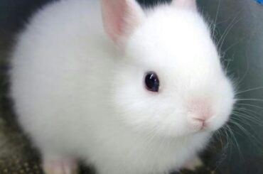 Dey said I'm charged with blinking and entering a fedewarl nuclear stockpile