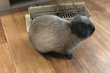 It wasn’t me. Just a ghost!