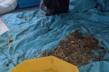 Someone was unhappy about the food situation