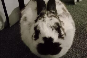 I kneaded my doe to make the perfect loaf.