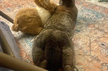 Is he buncomfortable or are you? 👀🍑