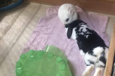 Straight up noodlin’