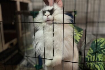 Does it still count if she uses support?